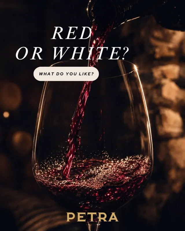 Wine, cellar and vineyard content photography for Vinarija Petra